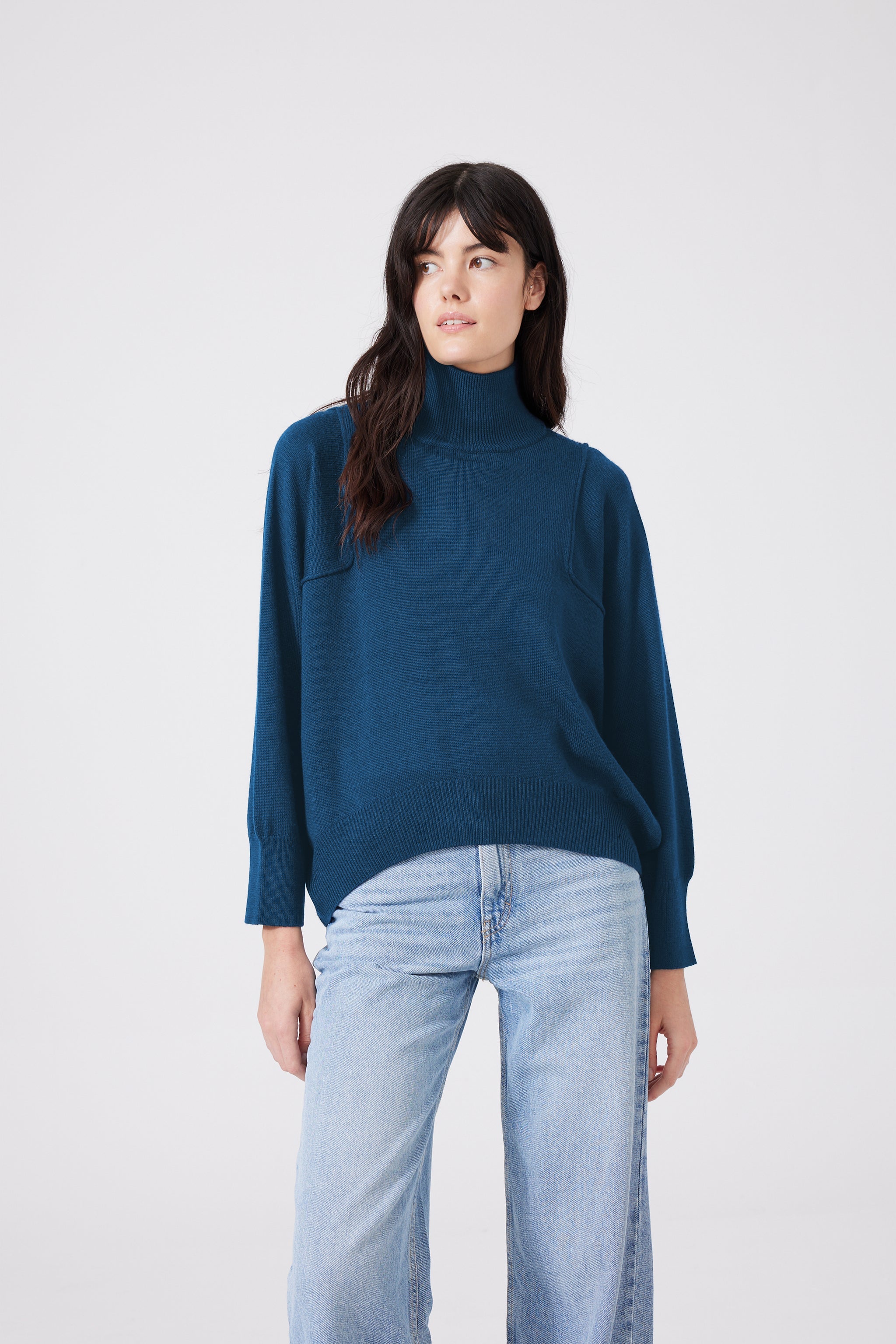 Extra Fine Merino Wool Turtleneck Pullover