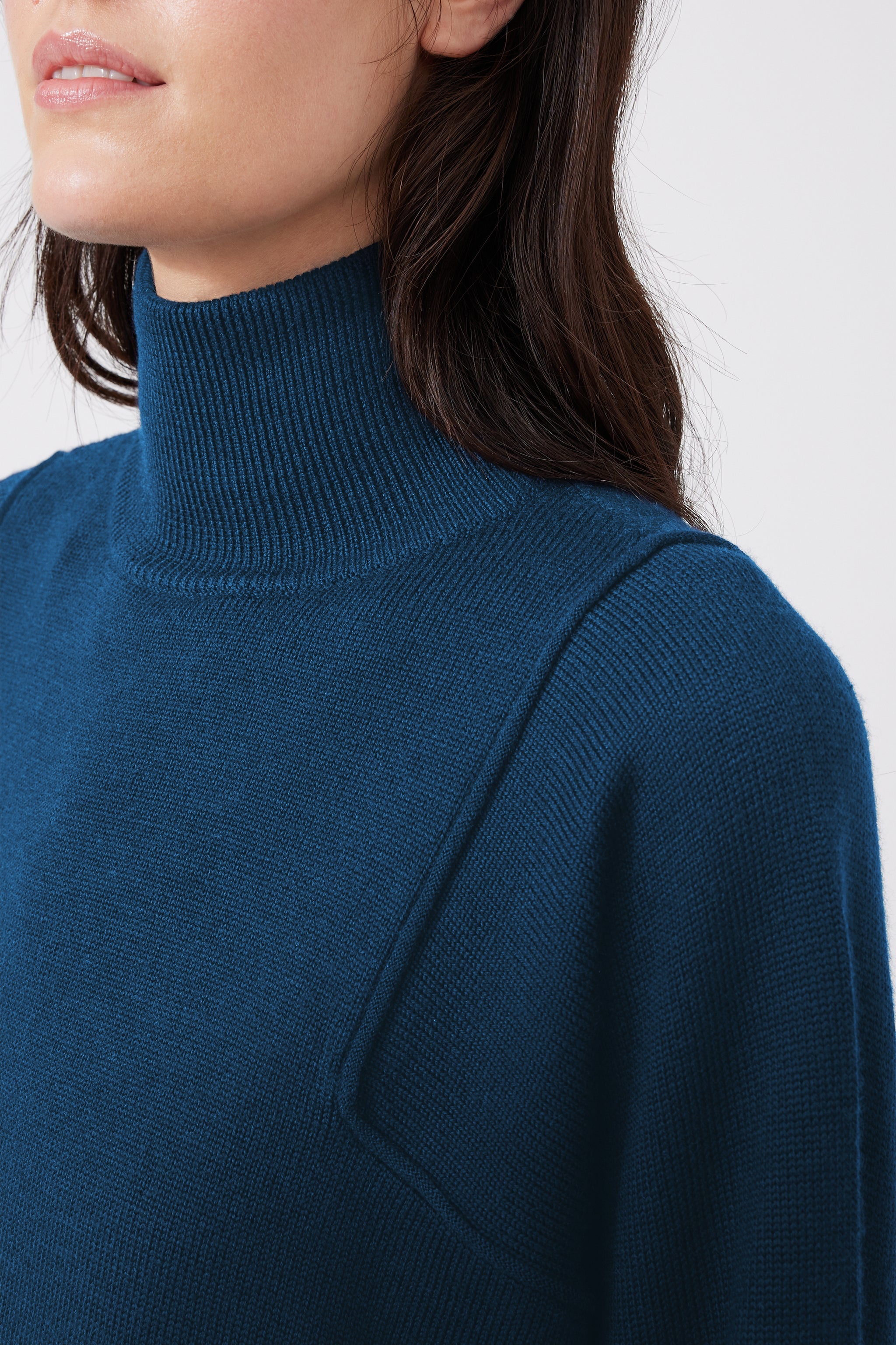 Extra Fine Merino Wool Turtleneck Pullover