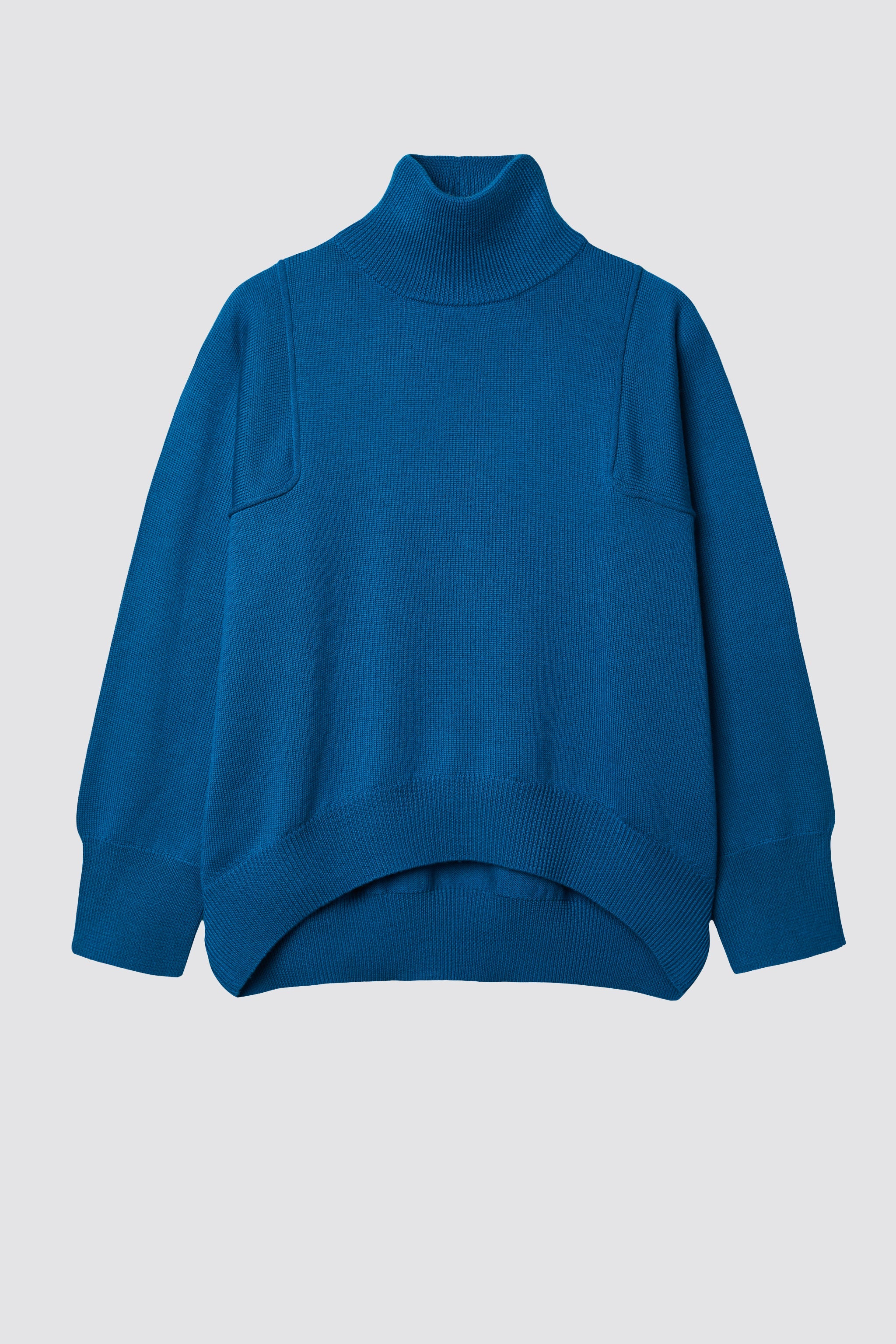 Extra Fine Merino Wool Turtleneck Pullover